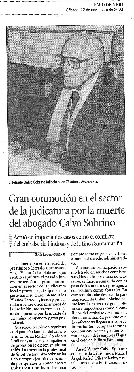 D. Ángel Víctor Calvo Sobrino